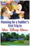 Planning for a Toddler's First Trip to Walt Disney World
