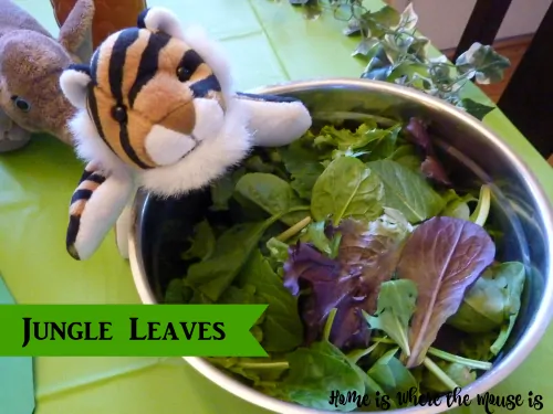 Jungle Leaves Salad