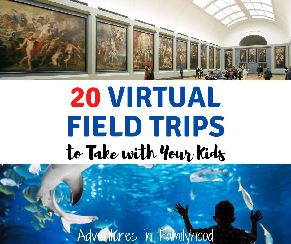 Copy Of Virtual Field Trips 