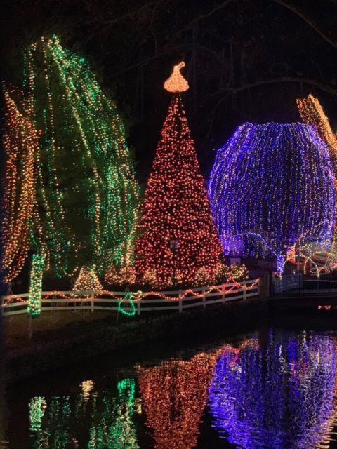 noel lights hersheypark