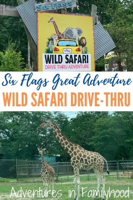 six flafs wild safari sign and giraffes