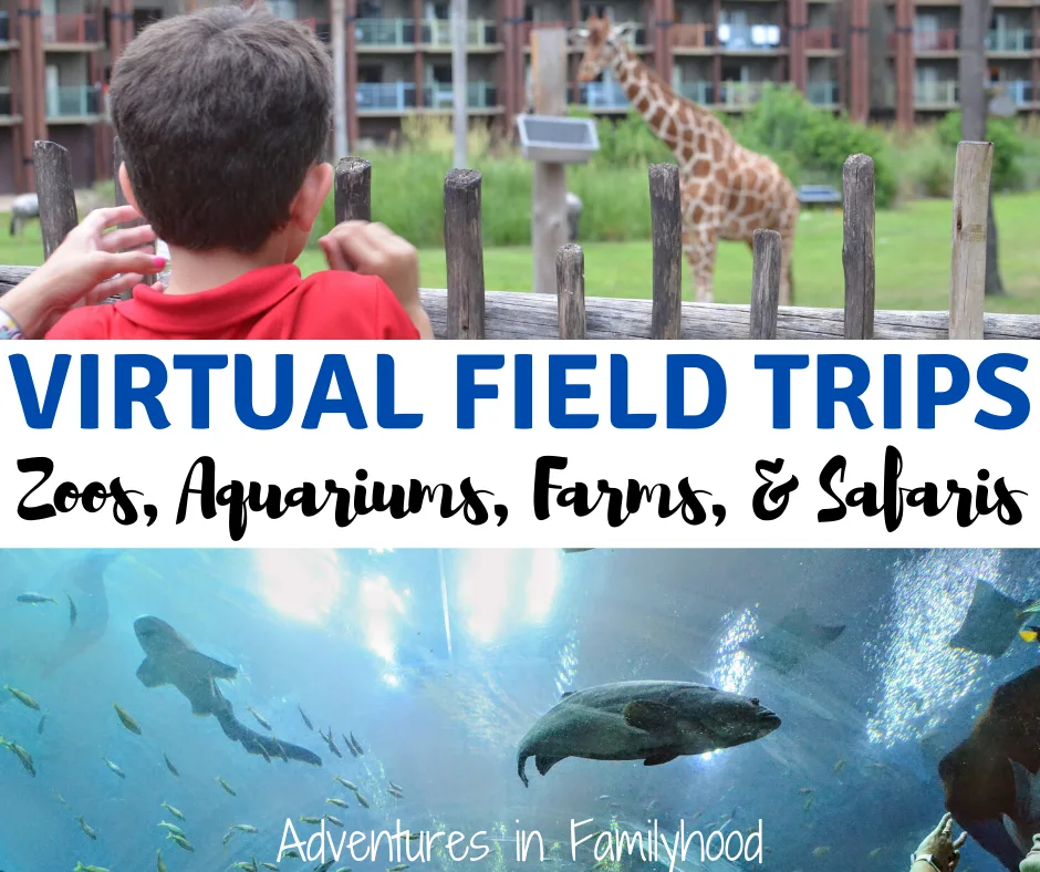 free virtual aquarium field trips